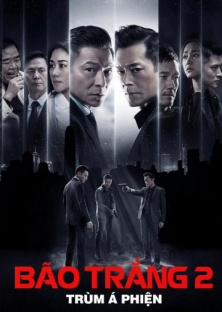 The White Storm 2 Drug Lords-The White Storm 2 Drug Lords
