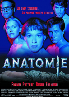 Anatomy-Anatomy