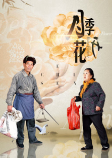 Mother-in-law in Town-Mother-in-law in Town