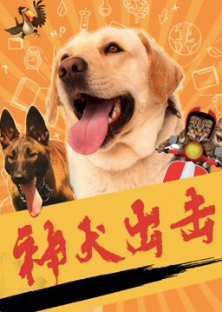 God dog attack-God dog attack