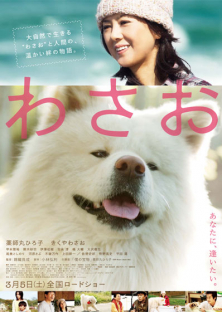 Wasao-Wasao