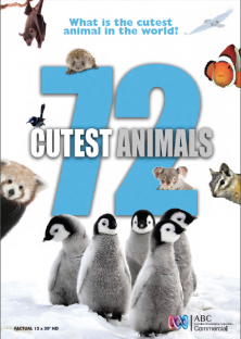 72 Cutest Animals-72 Cutest Animals