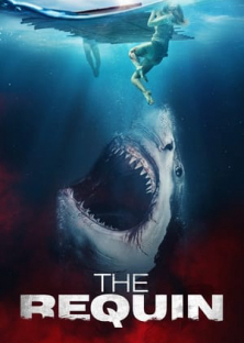 The Requin-The Requin
