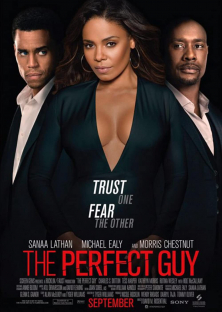 The Perfect Guy-The Perfect Guy