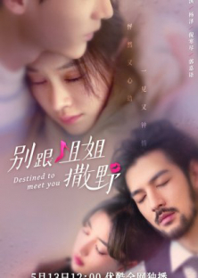 Destined to Meet You-Destined to Meet You