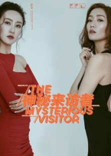 Mysterious visitor-Mysterious visitor