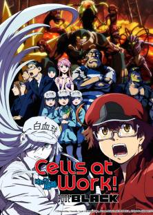 Hataraku Saibou Black-Hataraku Saibou Black