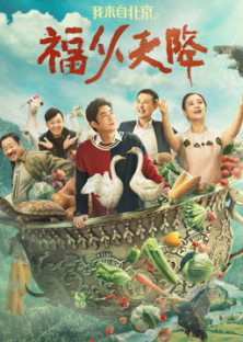 我来自北京之福从天降-我来自北京之福从天降
