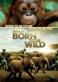 Born to Be Wild-Born to Be Wild