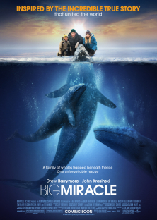 Big Miracle-Big Miracle