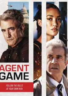Agent Game-Agent Game