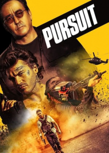 Pursuit-Pursuit