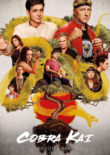 Cobra Kai (Season 3)-Cobra Kai (Season 3)