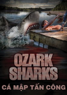 Summer Shark Attack-Summer Shark Attack