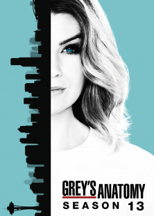 Grey's Anatomy (Season 13)-Grey's Anatomy (Season 13)