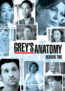 Grey's Anatomy (Season 2)-Grey's Anatomy (Season 2)