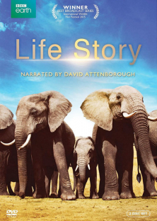 Life Story-Life Story
