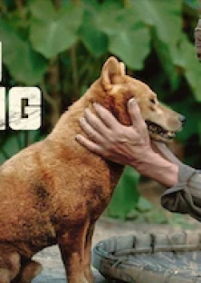 The Old Man's Dog-The Old Man's Dog