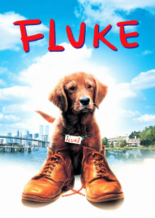 Fluke-Fluke