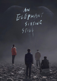 An Elephant Sitting Still-An Elephant Sitting Still