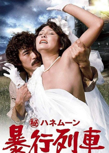 Secret Honeymoon: Assault Train-Secret Honeymoon: Assault Train