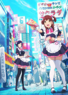 Akiba Maid War-Akiba Maid War