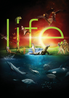 BBC: Life-BBC: Life