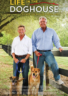 Life in the Doghouse-Life in the Doghouse