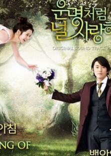 You are my destiny-You are my destiny