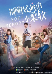 Soft Memory-Soft Memory