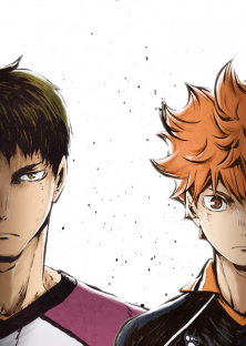 Haikyu!! (Season 3)-Haikyu!! (Season 3)