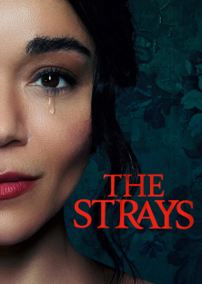 The Strays-The Strays