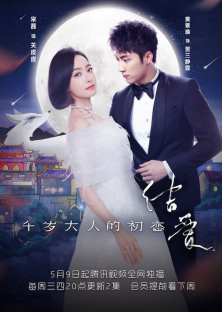 The Love Knot: His Excellency's First Love-The Love Knot: His Excellency's First Love