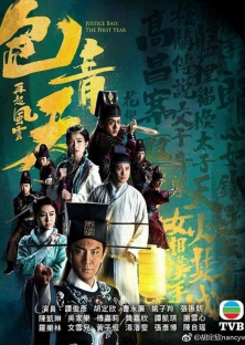 包青天再起風雲-包青天再起風雲