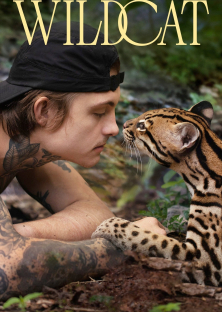 Wildcat-Wildcat