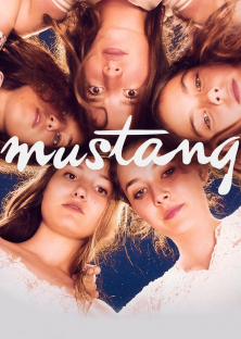 Mustang-Mustang