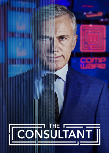 The Consultant-The Consultant