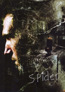 Spider-Spider