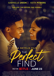 The Perfect Find-The Perfect Find