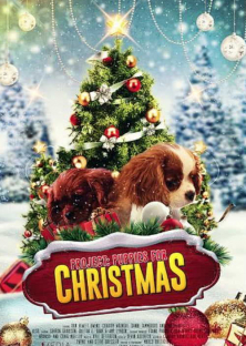 Project: Puppies for Christmas-Project: Puppies for Christmas