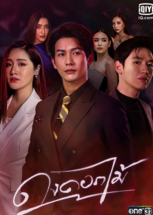 Dong Dok Mai-Dong Dok Mai