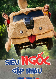 Dumb and Dumber To-Dumb and Dumber To