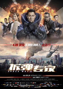Shock Wave-Shock Wave