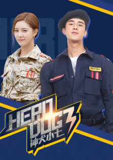 Hero Dog (Season 3)-Hero Dog (Season 3)