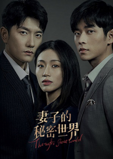 The Wife's Secret World-The Wife's Secret World