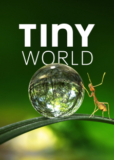 Tiny World (Season 1)-Tiny World (Season 1)