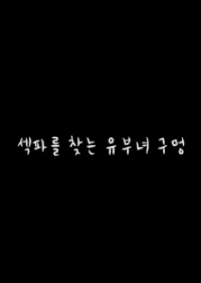 섹파를 찾는 유부녀 구멍-섹파를 찾는 유부녀 구멍