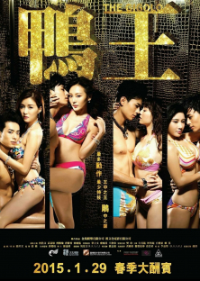 The Gigolo-The Gigolo