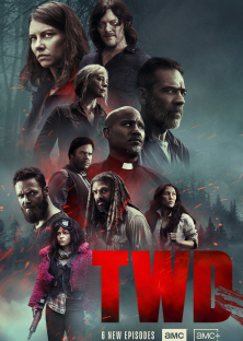 The Walking Dead (Season 10)-The Walking Dead (Season 10)
