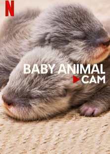 Baby Animal Cam-Baby Animal Cam